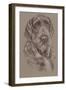 German Wirehaired Pointer-Barbara Keith-Framed Giclee Print