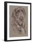 German Wirehaired Pointer-Barbara Keith-Framed Giclee Print