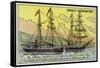 Germania and Hansa, Ships of Carl Koldewey's German North Polar Expedition, 1869-1870-null-Framed Stretched Canvas