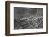 Germans Defend Their Land from the Romans-P. Ivanowics-Framed Photographic Print