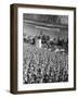 Germany, Bacharach-null-Framed Photographic Print