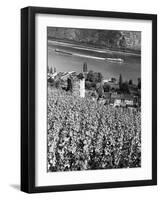 Germany, Bacharach-null-Framed Photographic Print