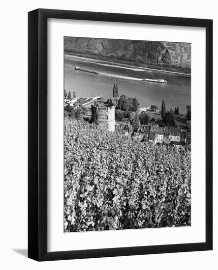 Germany, Bacharach-null-Framed Photographic Print