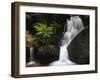 Germany, Baden-WŸrttemberg, Black Forest, Gertelsbach, Gertelsbach Waterfall, Rock with Fern-Andreas Keil-Framed Photographic Print