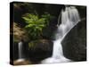 Germany, Baden-WŸrttemberg, Black Forest, Gertelsbach, Gertelsbach Waterfall, Rock with Fern-Andreas Keil-Stretched Canvas