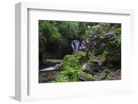 Germany, Baden-WŸrttemberg, Black Forest, Grobbach, Geroldsau Waterfall-Andreas Keil-Framed Photographic Print