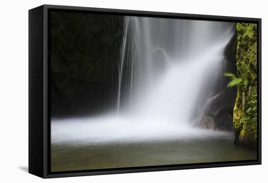 Germany, Baden-WŸrttemberg, Black Forest, Grobbach, Geroldsau Waterfall-Andreas Keil-Framed Stretched Canvas