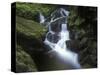 Germany, Baden-WŸrttemberg, Black Forest, Wutach Gorge, Lotenbach Ravine, Waterfall with Moss-Andreas Keil-Stretched Canvas