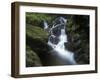 Germany, Baden-WŸrttemberg, Black Forest, Wutach Gorge, Lotenbach Ravine, Waterfall with Moss-Andreas Keil-Framed Photographic Print