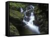 Germany, Baden-WŸrttemberg, Black Forest, Wutach Gorge, Lotenbach Ravine, Waterfall with Moss-Andreas Keil-Framed Stretched Canvas