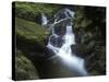 Germany, Baden-WŸrttemberg, Black Forest, Wutach Gorge, Lotenbach Ravine, Waterfall with Moss-Andreas Keil-Stretched Canvas