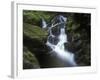 Germany, Baden-WŸrttemberg, Black Forest, Wutach Gorge, Lotenbach Ravine, Waterfall with Moss-Andreas Keil-Framed Photographic Print