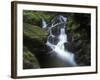 Germany, Baden-WŸrttemberg, Black Forest, Wutach Gorge, Lotenbach Ravine, Waterfall with Moss-Andreas Keil-Framed Photographic Print