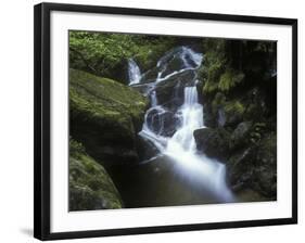 Germany, Baden-WŸrttemberg, Black Forest, Wutach Gorge, Lotenbach Ravine, Waterfall with Moss-Andreas Keil-Framed Photographic Print