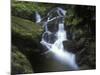 Germany, Baden-WŸrttemberg, Black Forest, Wutach Gorge, Lotenbach Ravine, Waterfall with Moss-Andreas Keil-Mounted Photographic Print