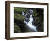 Germany, Baden-WŸrttemberg, Black Forest, Wutach Gorge, Lotenbach Ravine, Waterfall with Moss-Andreas Keil-Framed Photographic Print