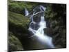 Germany, Baden-WŸrttemberg, Black Forest, Wutach Gorge, Lotenbach Ravine, Waterfall with Moss-Andreas Keil-Mounted Photographic Print