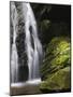 Germany, Baden-WŸrttemberg, Black Forest, Wutach Gorge, Lotenbach Ravine-Andreas Keil-Mounted Photographic Print