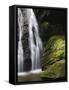 Germany, Baden-WŸrttemberg, Black Forest, Wutach Gorge, Lotenbach Ravine-Andreas Keil-Framed Stretched Canvas