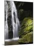 Germany, Baden-WŸrttemberg, Black Forest, Wutach Gorge, Lotenbach Ravine-Andreas Keil-Mounted Photographic Print