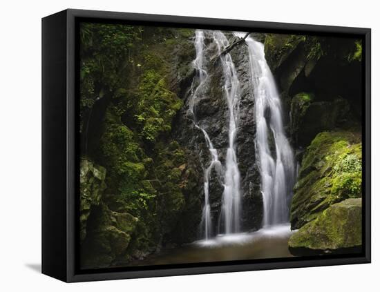 Germany, Baden-WŸrttemberg, Black Forest, Wutach Gorge, Lotenbach Ravine-Andreas Keil-Framed Stretched Canvas