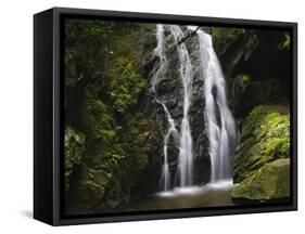 Germany, Baden-WŸrttemberg, Black Forest, Wutach Gorge, Lotenbach Ravine-Andreas Keil-Framed Stretched Canvas