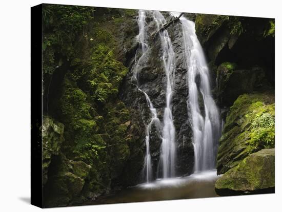 Germany, Baden-WŸrttemberg, Black Forest, Wutach Gorge, Lotenbach Ravine-Andreas Keil-Stretched Canvas