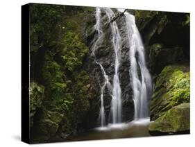 Germany, Baden-WŸrttemberg, Black Forest, Wutach Gorge, Lotenbach Ravine-Andreas Keil-Stretched Canvas