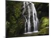 Germany, Baden-WŸrttemberg, Black Forest, Wutach Gorge, Lotenbach Ravine-Andreas Keil-Mounted Photographic Print