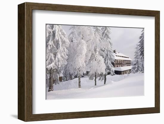 Germany, Baden-WŸrttemberg, Black Forest, Yellow Water Rose Sea, Hotel-Roland T.-Framed Photographic Print