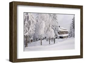 Germany, Baden-WŸrttemberg, Black Forest, Yellow Water Rose Sea, Hotel-Roland T.-Framed Photographic Print