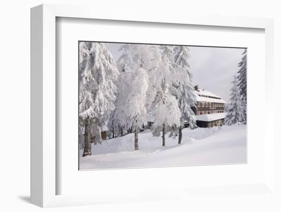 Germany, Baden-WŸrttemberg, Black Forest, Yellow Water Rose Sea, Hotel-Roland T.-Framed Photographic Print