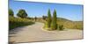 Germany, Baden-WŸrttemberg, Kaiserstuhl, Vineyards, Panorama-Andreas Vitting-Mounted Photographic Print