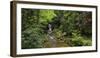 Germany, Baden-Wurttemberg, Black Forest, Grobbach, Geroldsauer Waterfall-Andreas Keil-Framed Photographic Print