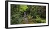 Germany, Baden-Wurttemberg, Black Forest, Grobbach, Geroldsauer Waterfall-Andreas Keil-Framed Photographic Print