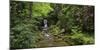 Germany, Baden-Wurttemberg, Black Forest, Grobbach, Geroldsauer Waterfall-Andreas Keil-Mounted Photographic Print