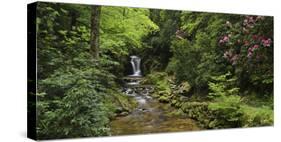Germany, Baden-Wurttemberg, Black Forest, Grobbach, Geroldsauer Waterfall-Andreas Keil-Stretched Canvas