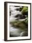 Germany, Baden-Wurttemberg, Black Forest, Grobbach-Andreas Keil-Framed Photographic Print