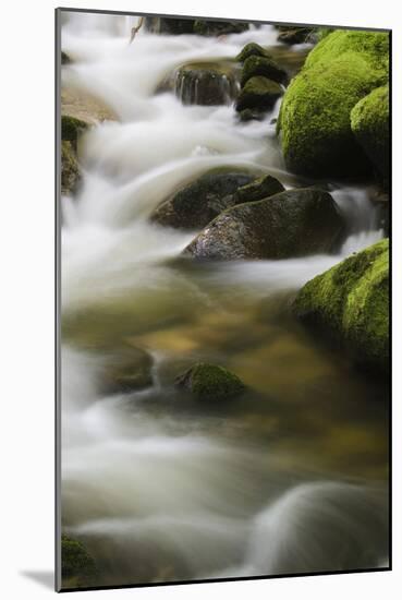 Germany, Baden-Wurttemberg, Black Forest, Grobbach-Andreas Keil-Mounted Photographic Print