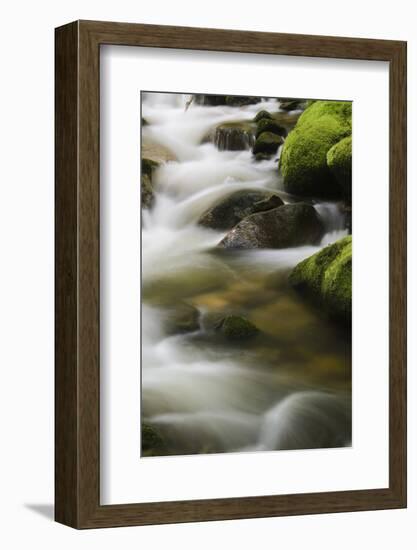 Germany, Baden-Wurttemberg, Black Forest, Grobbach-Andreas Keil-Framed Photographic Print