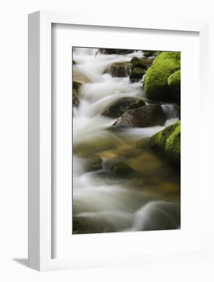 Germany, Baden-Wurttemberg, Black Forest, Grobbach-Andreas Keil-Framed Photographic Print