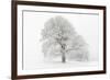 Germany, Baden-Wurttemberg, Black Forest, 'Schauinsland' (Mountain), Copper Beech-Andreas Keil-Framed Photographic Print