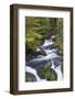 Germany, Baden-Wurttemberg, Black Forest, Triberg, Triberg Waterfalls-Walter Bibikow-Framed Photographic Print