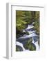 Germany, Baden-Wurttemberg, Black Forest, Triberg, Triberg Waterfalls-Walter Bibikow-Framed Photographic Print