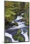 Germany, Baden-Wurttemberg, Black Forest, Triberg, Triberg Waterfalls-Walter Bibikow-Mounted Photographic Print