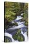 Germany, Baden-Wurttemberg, Black Forest, Triberg, Triberg Waterfalls-Walter Bibikow-Stretched Canvas