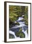 Germany, Baden-Wurttemberg, Black Forest, Triberg, Triberg Waterfalls-Walter Bibikow-Framed Photographic Print