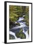 Germany, Baden-Wurttemberg, Black Forest, Triberg, Triberg Waterfalls-Walter Bibikow-Framed Photographic Print