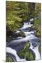 Germany, Baden-Wurttemberg, Black Forest, Triberg, Triberg Waterfalls-Walter Bibikow-Mounted Photographic Print