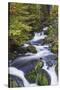 Germany, Baden-Wurttemberg, Black Forest, Triberg, Triberg Waterfalls-Walter Bibikow-Stretched Canvas